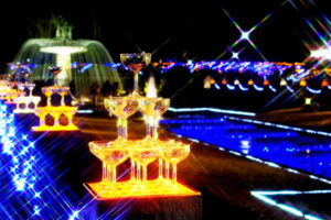 昭和記念公園イルミネーション(紅葉祭り)