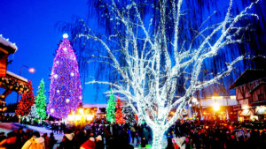 東京ドイツ村イルミネーションの混雑と駐車場