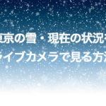 東京の雪・現在の状況