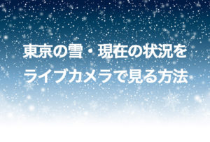 東京の雪・現在の状況