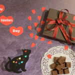 バレンタインチョコ猫ブランドまとめ!通販で買える猫チョコも